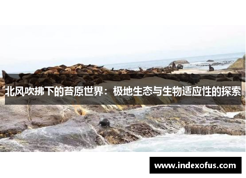北风吹拂下的苔原世界：极地生态与生物适应性的探索