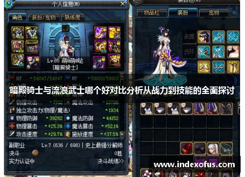 暗殿骑士与流浪武士哪个好对比分析从战力到技能的全面探讨